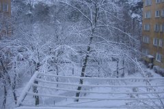 IMG_1636