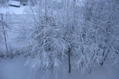 IMG_1639