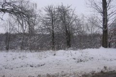 IMG_1658
