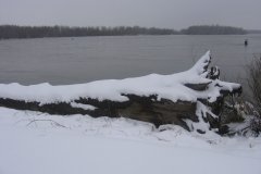IMG_1667