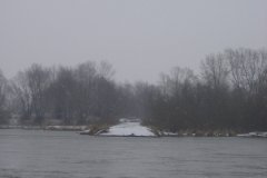 IMG_1681