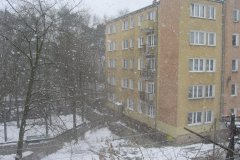 IMG_1704