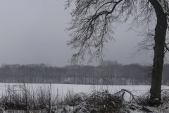 STA_1698