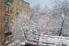 2009.03.25 Grapa zimą