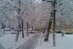 Image037
