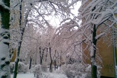 Image038