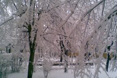 Image039