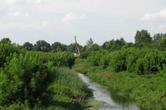 IMG_0350