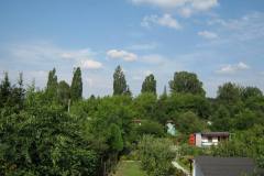 IMG_0355