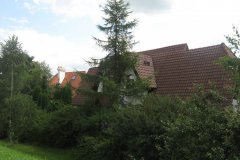 IMG_2244