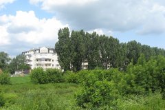 IMG_2253