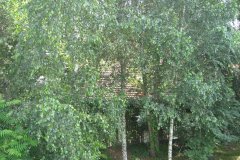 IMG_2258