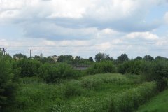 IMG_2265