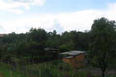 IMG_2301