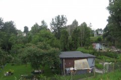 IMG_2304