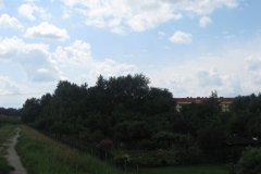 IMG_2307