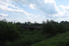 IMG_2311