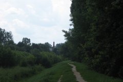 IMG_2318