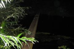 IMG_1140