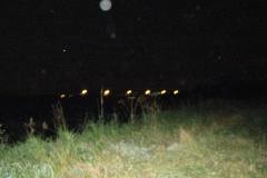 IMG_1145