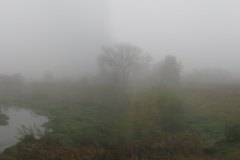 IMG_1459