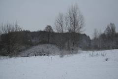 IMG_2085