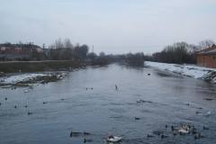 IMG_2427