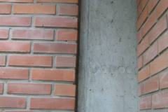 IMG_2291