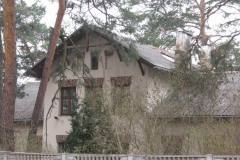 2010.04.18 Grapa