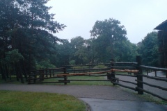 DSC00083