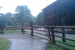 DSC00086