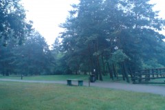 DSC00092