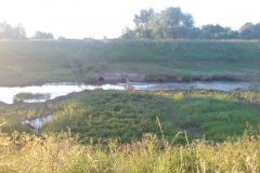 2010.07 Kładka i przepusty na Jeziorce przy przepompowni