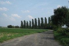 2010.08 Piaski