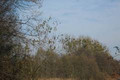 IMG_4546