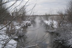 IMG_5083