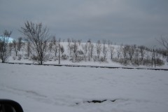 IMG_5115