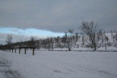 IMG_5116