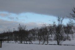IMG_5117