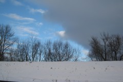 IMG_5119