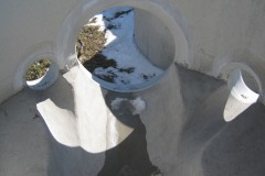 IMG_5368