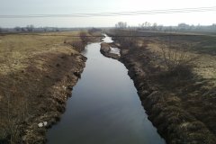 20110313468