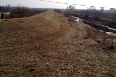 20110313472