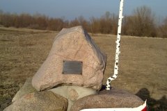 20110313473