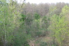 IMG_5517