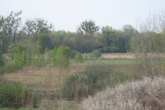 IMG_5526