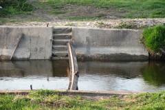 IMG_1184
