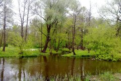 20110507545