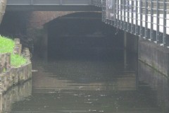 IMG_5778