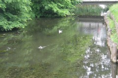 IMG_5780